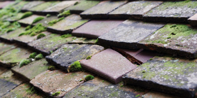 Llanwrda roof repair costs